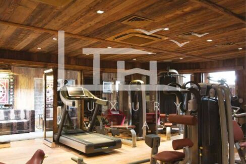 Chalet-Mercury_wok_15