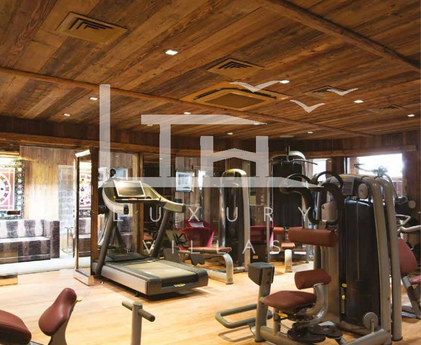 Chalet-Mercury_wok_15